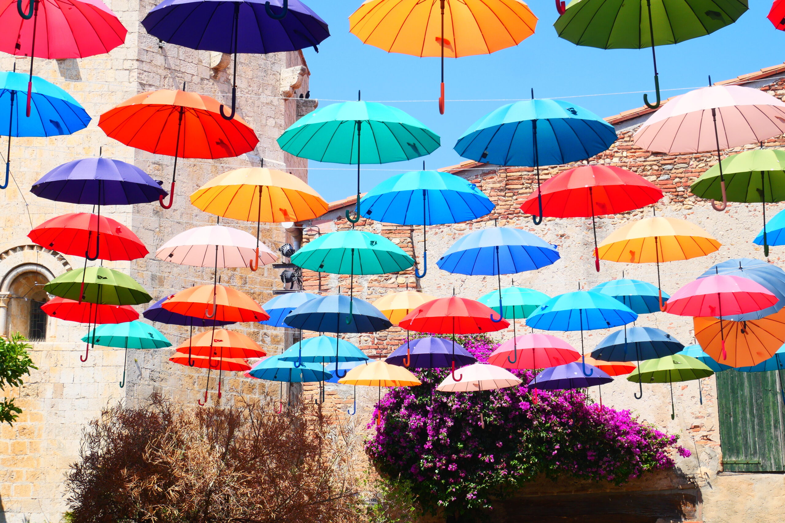 Parapluies 2023